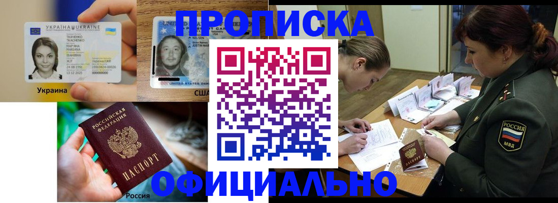 временная регистрация поиск в Чкаловске